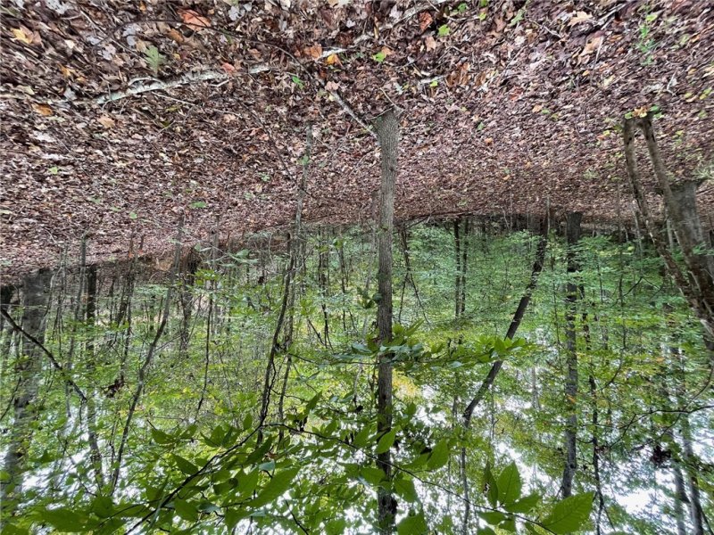 Property image 3 of Lot 296 Chickasaw Point Oconee Avenue in Chickasaw Point, Westminster, SC 29693