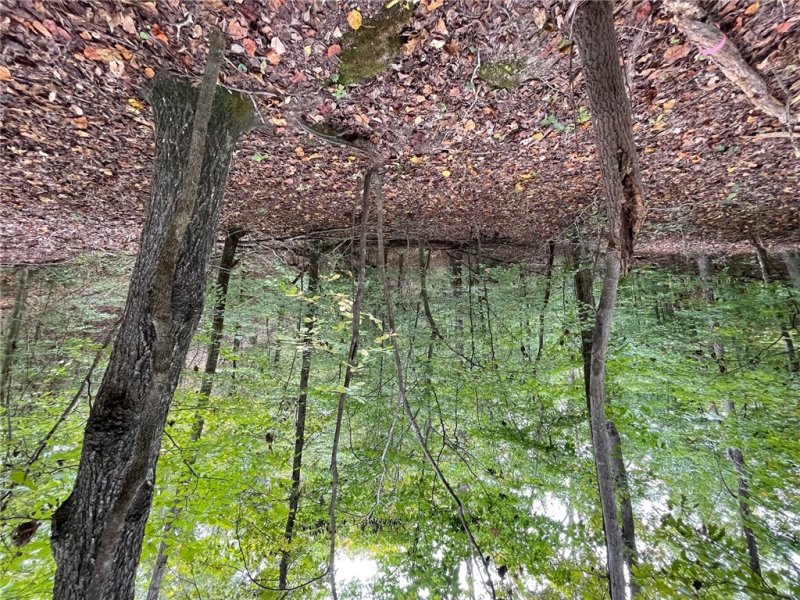 Property image 4 of Lot 296 Chickasaw Point Oconee Avenue in Chickasaw Point, Westminster, SC 29693