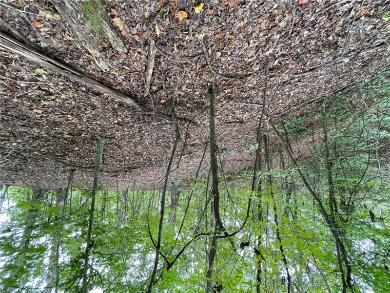 Property image 5 of Lot 296 Chickasaw Point Oconee Avenue in Chickasaw Point, Westminster, SC 29693