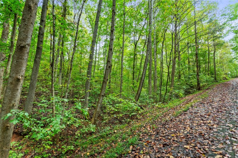 Property image 2 of Lot 242 Catawba Court in Foxwood Hills, Westminster, SC 29693