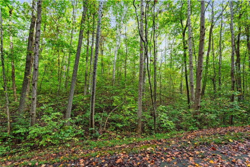 Property image 3 of Lot 242 Catawba Court in Foxwood Hills, Westminster, SC 29693