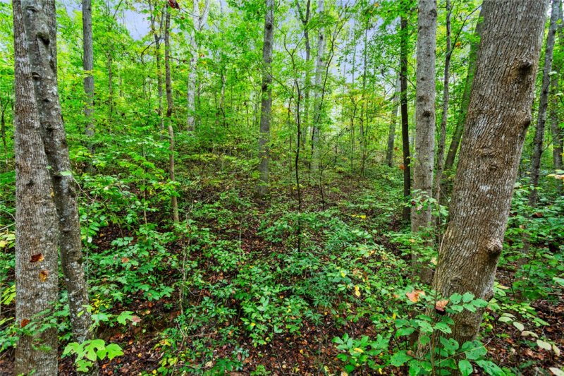 Property image 5 of Lot 242 Catawba Court in Foxwood Hills, Westminster, SC 29693