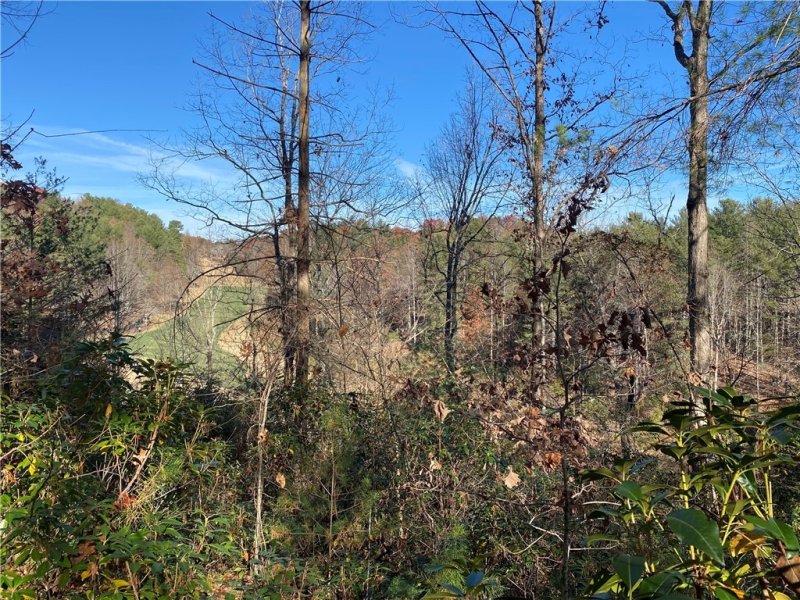Property image 2 of 120 Course View Way in Cliffs At Keowee Vineyards, Sunset, SC 29685