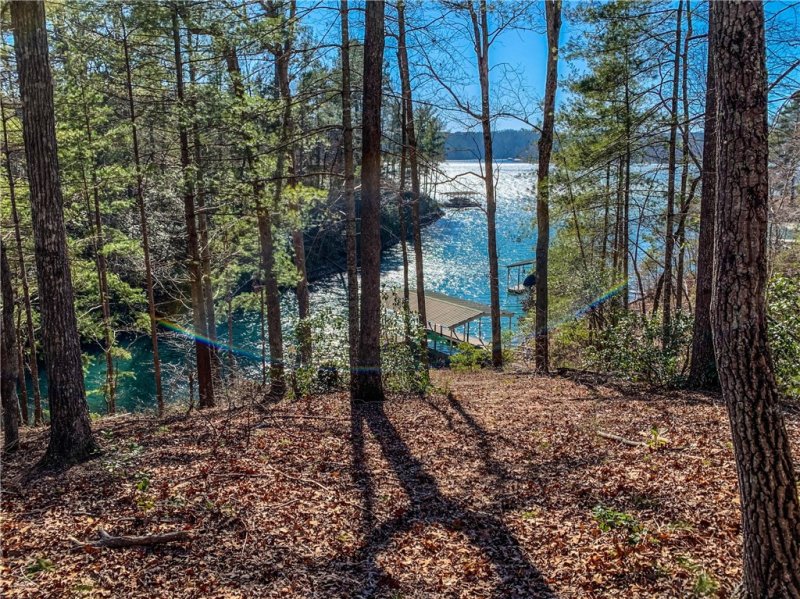 Property image 2 of S78 Red Buckeye Trail in Cliffs At Keowee Vineyards, Sunset, SC 29685