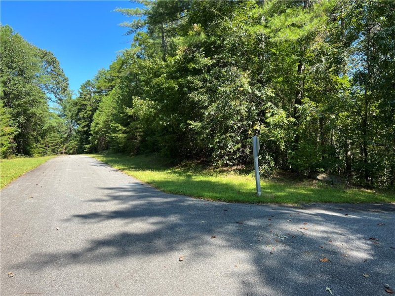 Property image 4 of 20 Vineyard Park in Cliffs At Keowee Vineyards, Sunset, SC 29685