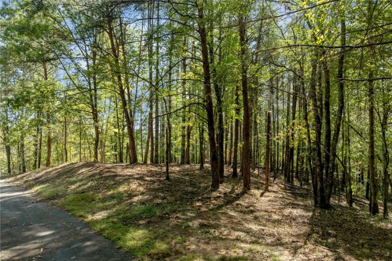 Property image 2 of 106 Sweetshrub Court in Cliffs At Keowee Vineyards, Sunset, SC 29685