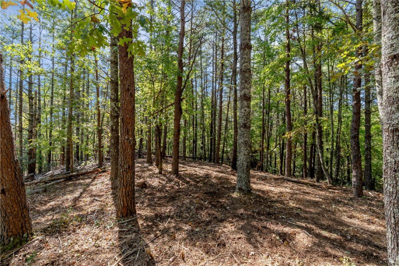 Property image 3 of 106 Sweetshrub Court in Cliffs At Keowee Vineyards, Sunset, SC 29685