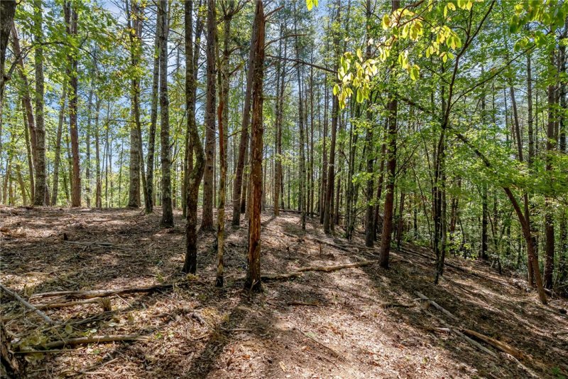Property image 4 of 106 Sweetshrub Court in Cliffs At Keowee Vineyards, Sunset, SC 29685