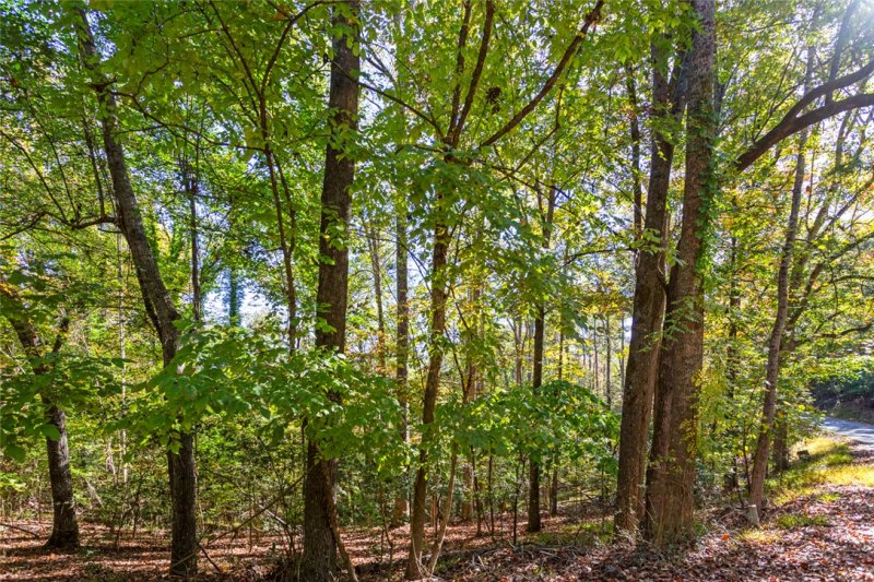 Property image 3 of 00 Pin Du Lac Drive in Nord-Lac, Central, SC 29630