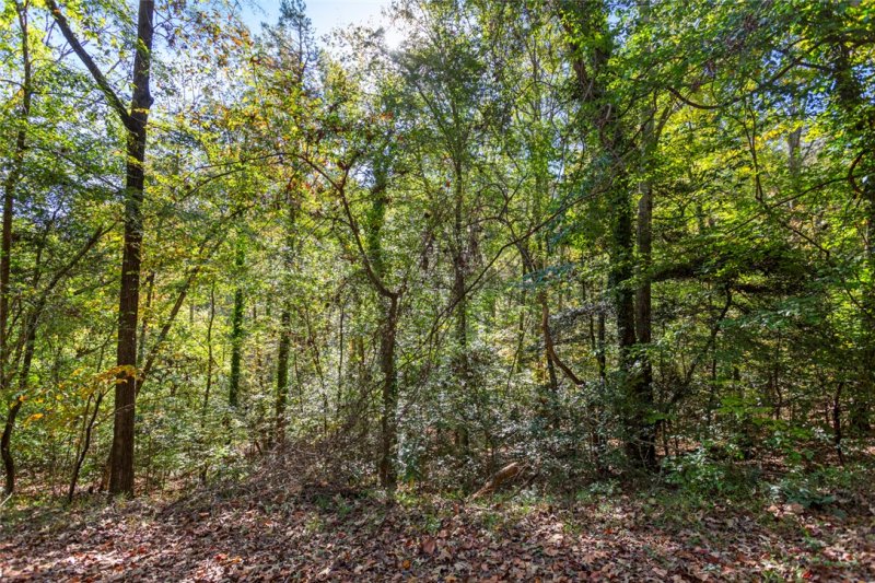 Property image 3 of 418 Pin Du Lac Drive in Nord-Lac, Central, SC 29630