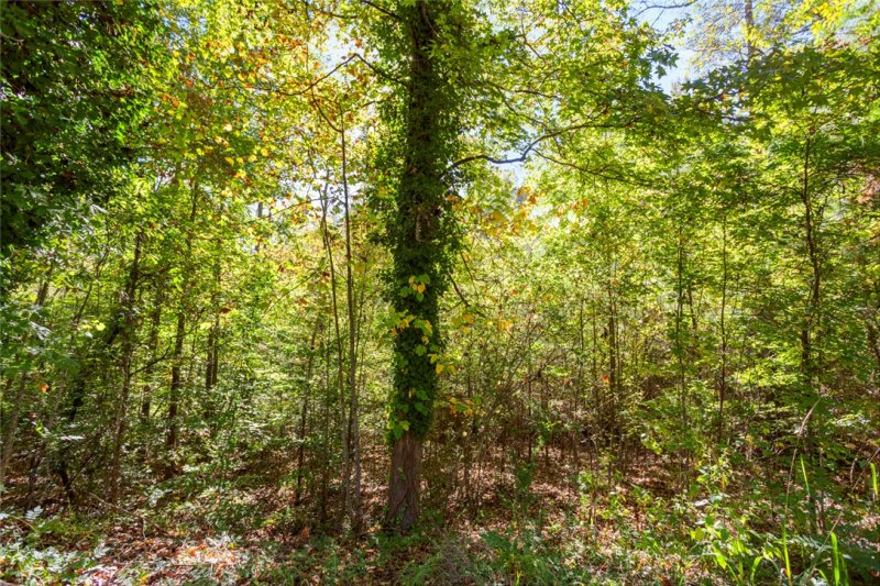 Property image 2 of 426 Pin Du Lac Drive in Nord-Lac, Central, SC 29630