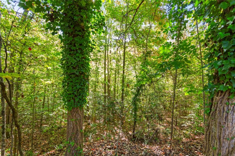 Property image 3 of 426 Pin Du Lac Drive in Nord-Lac, Central, SC 29630