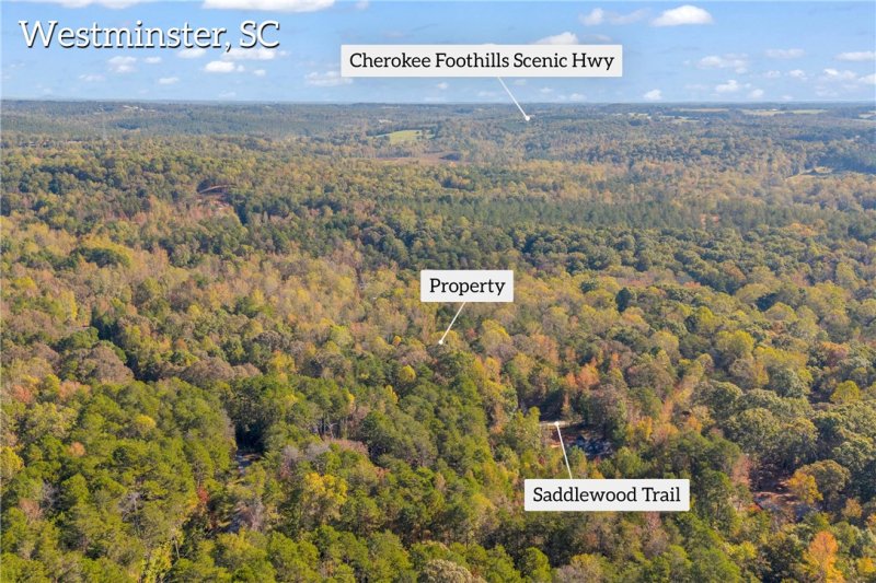 Property image 5 of 203 Saddlewood Trail in Foxwood Hills, Westminster, SC 29693