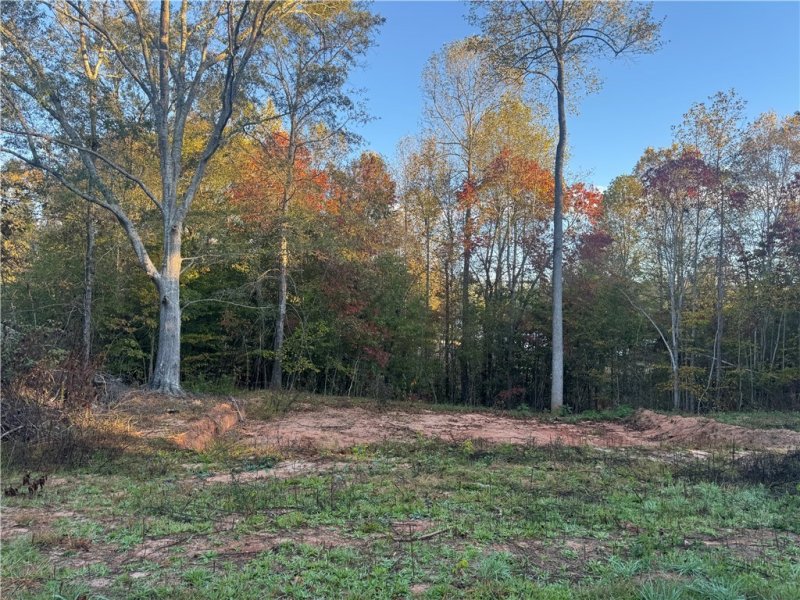 Property image 3 at 209 Castlebrook Drive, Walhalla, SC 29691