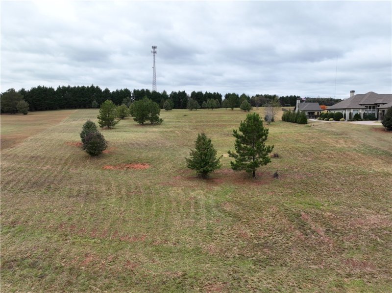 Property image 4 of 208 Chestnut Springs Way in Chestnut Springs, Williamston, SC 29697