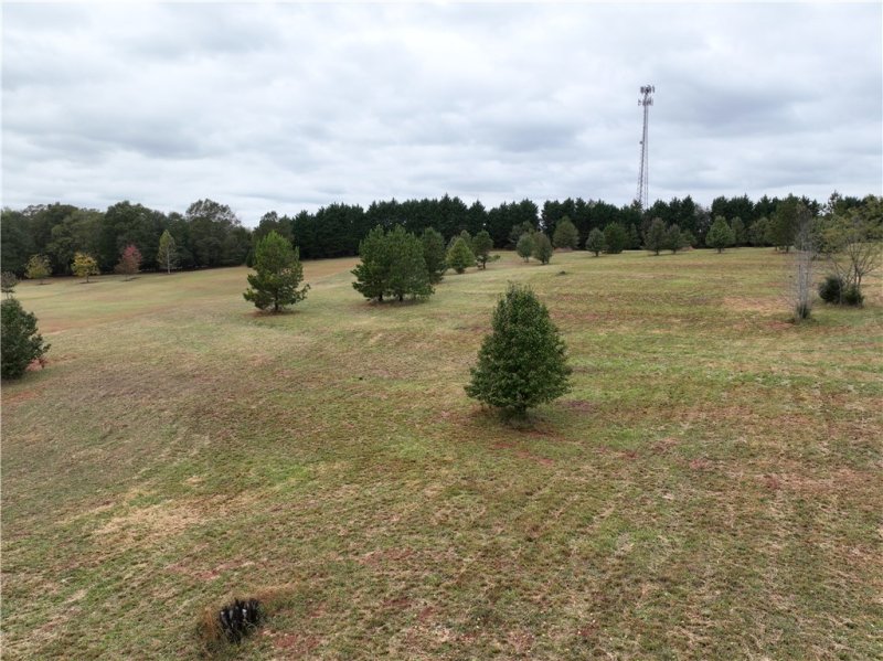 Property image 5 of 208 Chestnut Springs Way in Chestnut Springs, Williamston, SC 29697