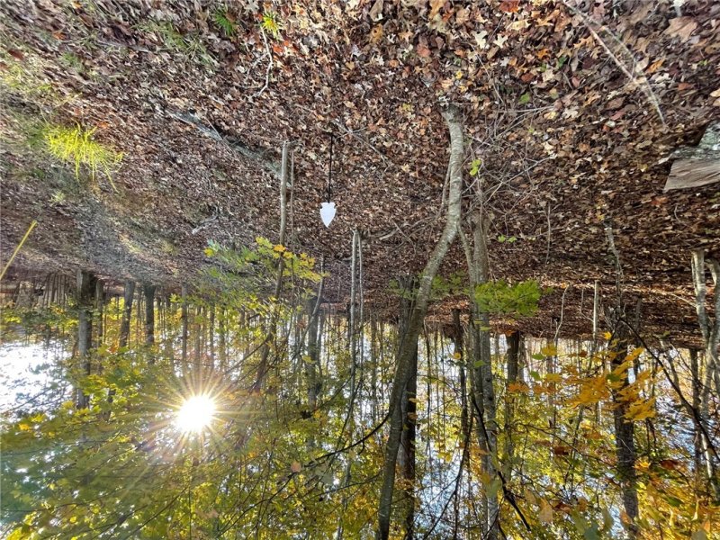 Lot 87 N Foxglove Road