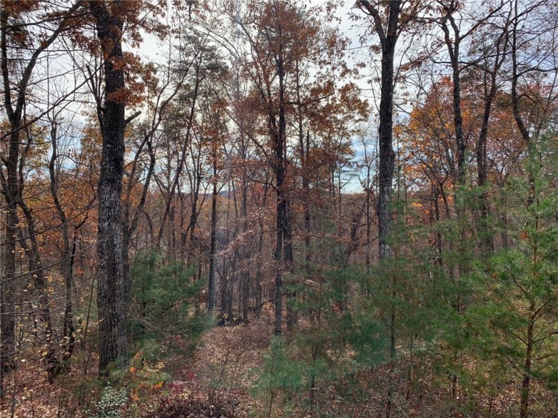 Property image 4 of 315 Highridge Parkway in Cliffs At Mountain Park, Marietta, SC 29661