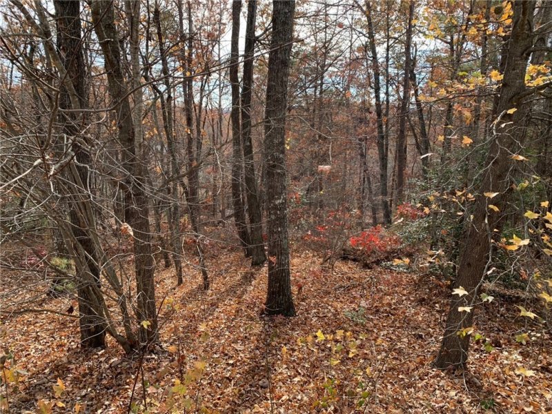 Property image 5 of 315 Highridge Parkway in Cliffs At Mountain Park, Marietta, SC 29661