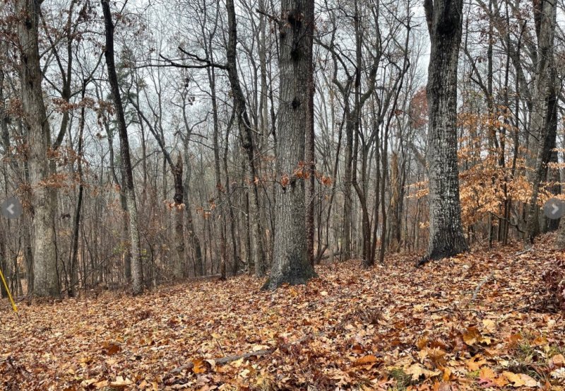 Lot 2134 S Arrowhead Drive