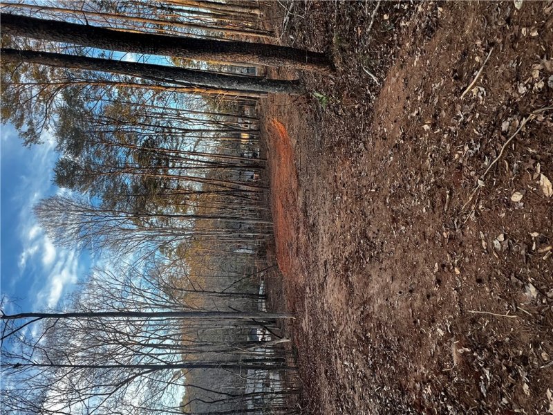 126 Quail Hollow Circle