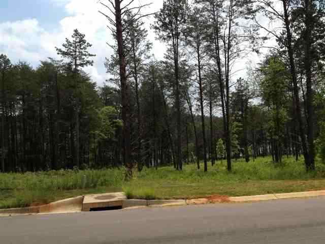 Property image 4 at Lot 28 Four Pointes, Salem, SC 29676