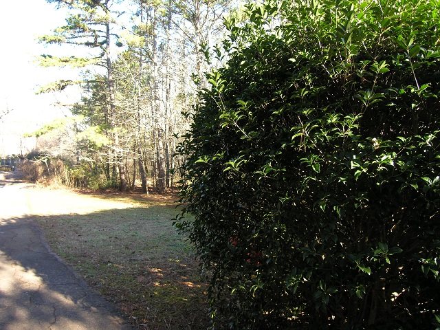 Property image 2 at 406 Downs Boulevard, Clemson, SC 29631