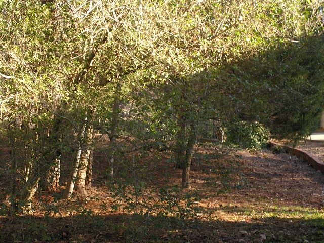 Property image 4 at 406 Downs Boulevard, Clemson, SC 29631