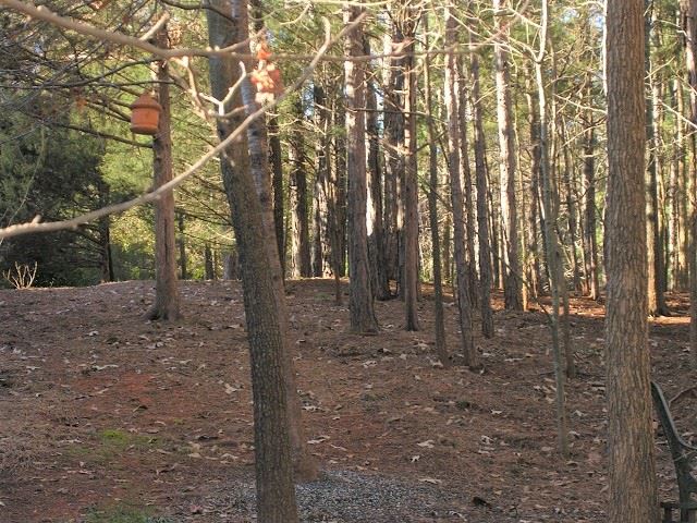 Property image 5 at 406 Downs Boulevard, Clemson, SC 29631