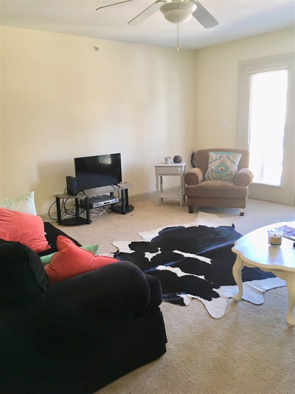 Property image 5 at 203 Kelly Rd #124, Clemson, SC 29631