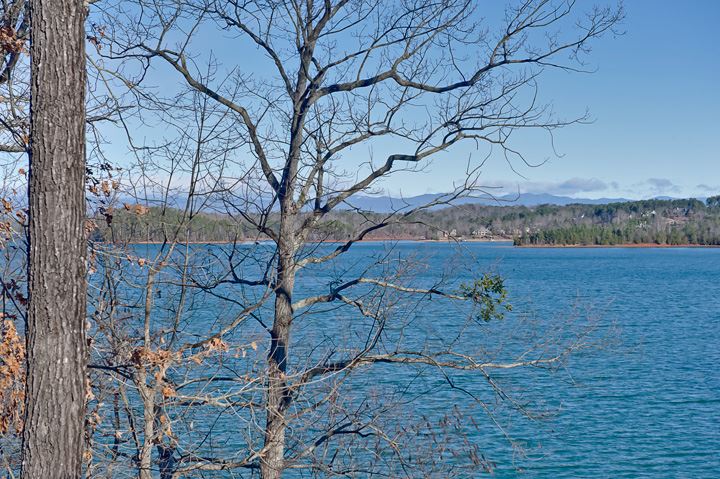 Property image 4 at 214 Wynmere Way, Seneca, SC 29672