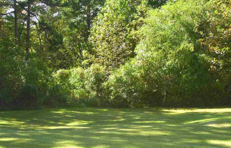 55.99 Acres Stamp Creek Landing