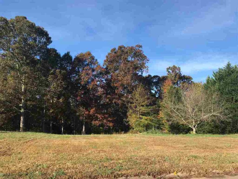107 Wren Crossing Lane