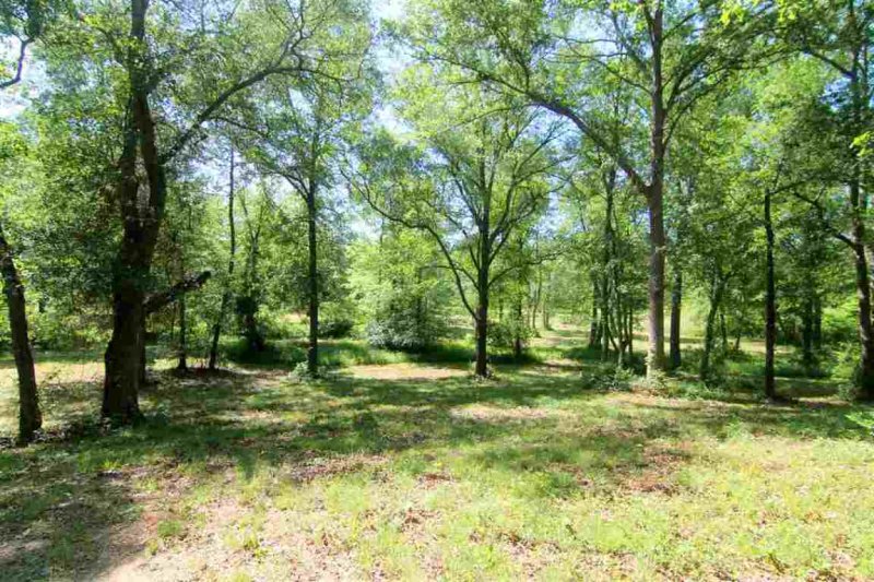 Property image 3 at 11.73ac Steeplechase, Belton, SC 29627