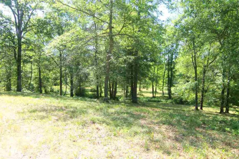 Property image 4 at 11.73ac Steeplechase, Belton, SC 29627