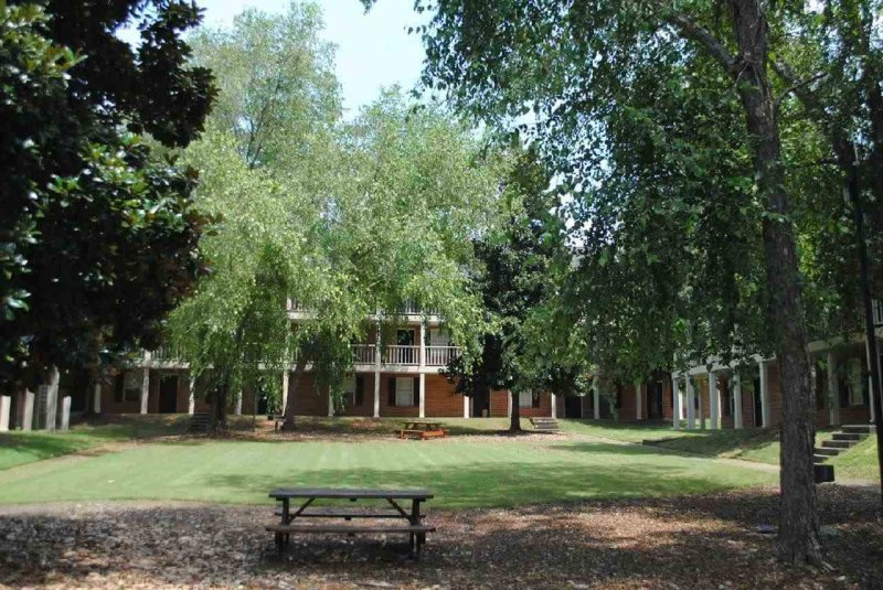 Property image 2 at 250 Elm St #306 (C106), Clemson, SC 29631