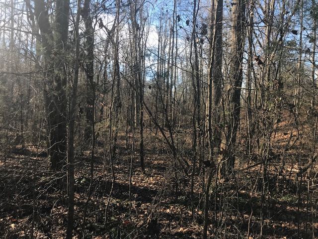 Property image 5 at 00 Capps Road & East Lakeshore, Fair Play, SC 29643