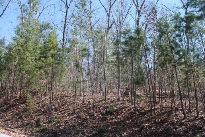 Property image 5 at 327 Stardust Lane, Seneca, SC 29672