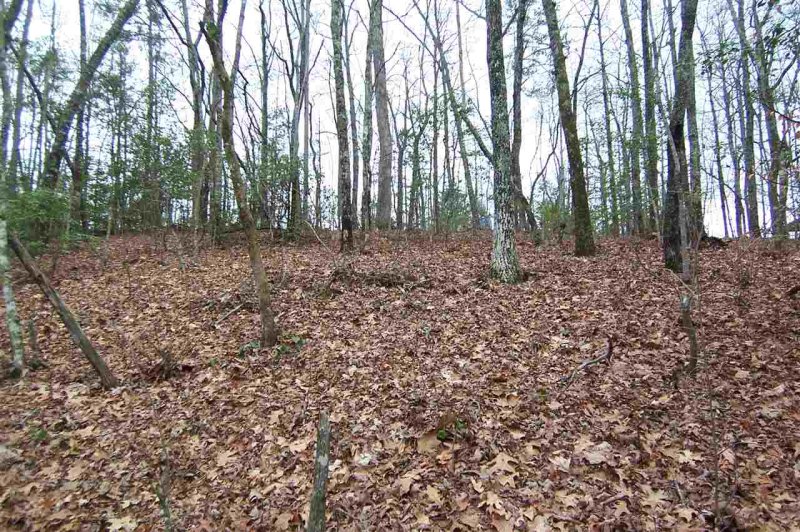 Property image 2 at 000 Cove Road, Mountain Rest, SC 29664