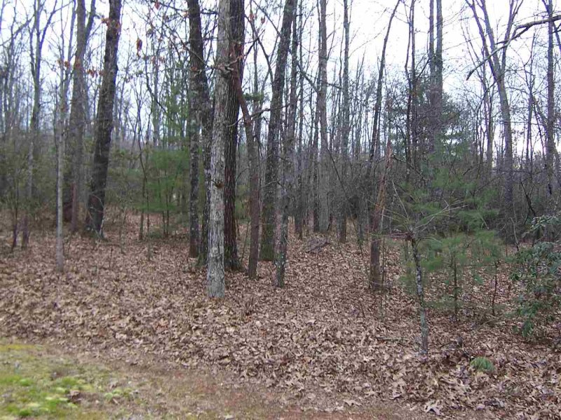 Property image 4 at 000 Cove Road, Mountain Rest, SC 29664