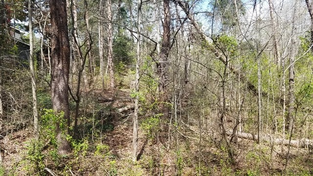 Property image 2 at Lot 141 Delphi Drive, Seneca, SC 29672