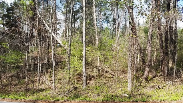 Property image 3 at Lot 141 Delphi Drive, Seneca, SC 29672