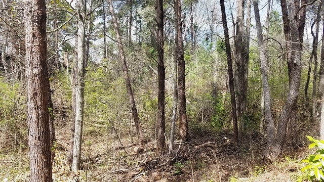 Property image 4 at Lot 141 Delphi Drive, Seneca, SC 29672