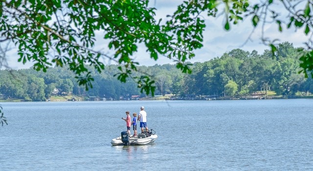 Property image 3 at 740 Eagles Harbor, Hodges, SC 29653