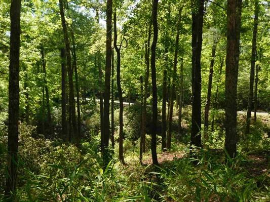 Property image 3 at Lot 47 Turtlehead Drive, Salem, SC 29676