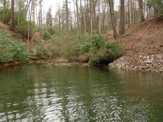 Property image 5 at Lot 47 Turtlehead Drive, Salem, SC 29676