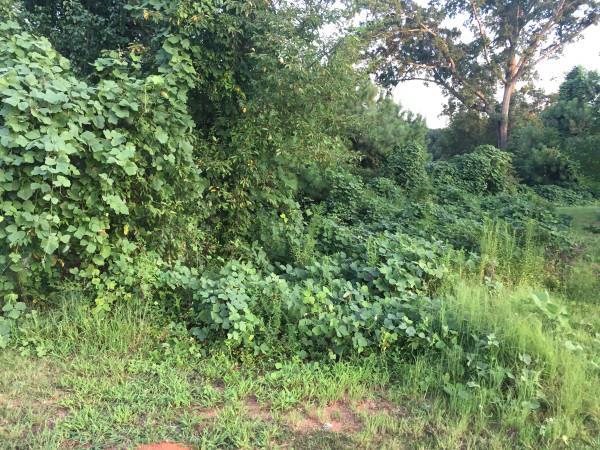 Property image 2 at 338 Monti Drive, Anderson, SC 29625