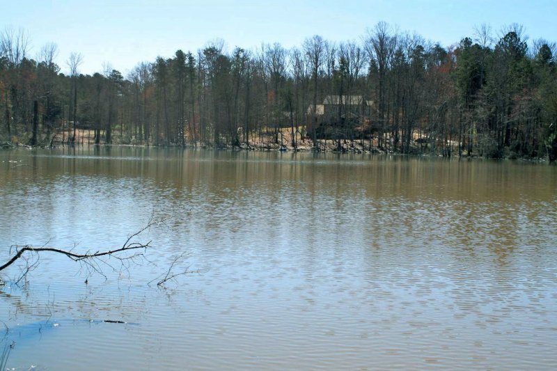 Property image 4 at 115 Crawford Lake Drive, Easley, SC 29642