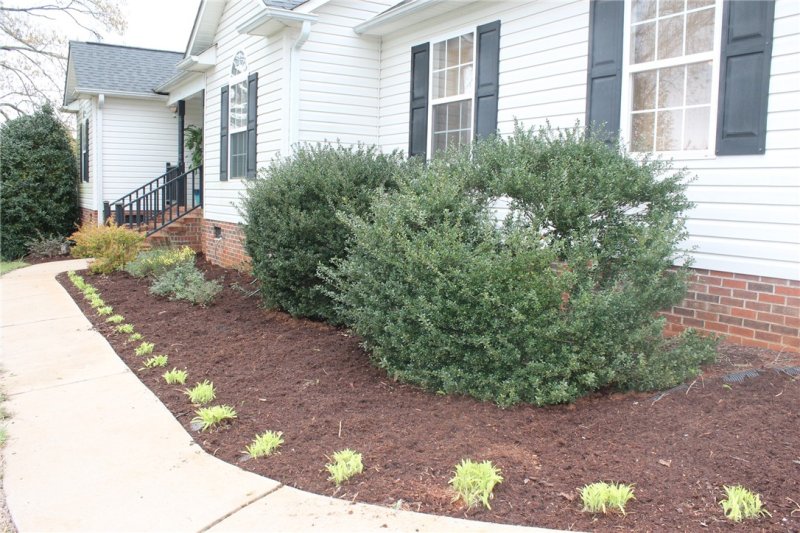 Property image 3 at 1105 Shennandoah Drive, Anderson, SC 29625