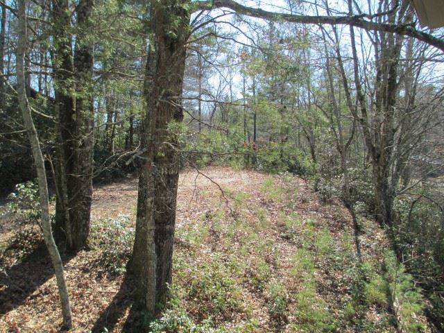 Property image 4 at 295 Lakeside Drive, Mountain Rest, SC 29664